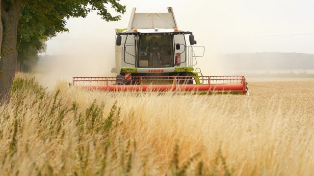 Снимка: Pixabay