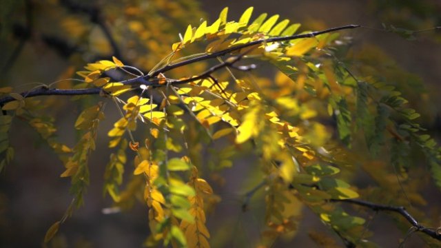 <p>
	<em>Снимка: Олег Попов, Investor Media Group</em></p>
