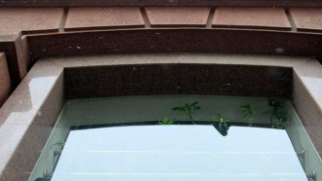 <p>
	<em>Снимка: Гергана Костадинова, БГНЕС</em></p>
