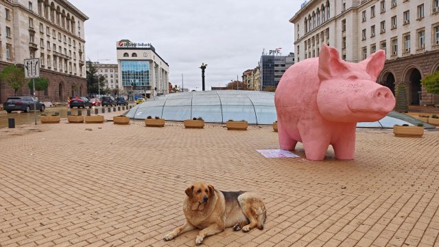 Снимка: БГНЕС