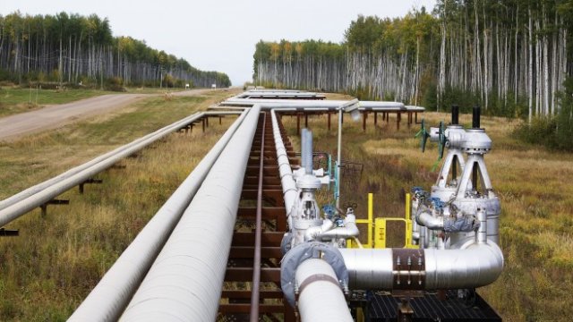 <p>
	<em>Снимка: Ройтерс</em></p>
