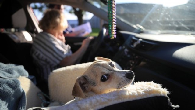 <p>
	<em>Снимка: Bloomberg</em></p>
