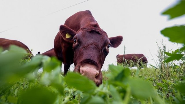 <p>
	<em>Снимка: Bloomberg</em></p>
