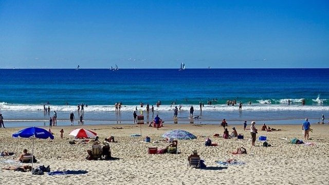 <p>
	<em>Снимка: Pixabay</em></p>
