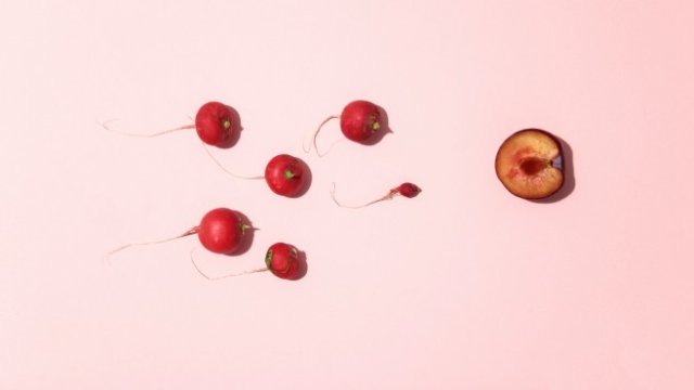 <p>
	<em>Снимка: <a href="https://unsplash.com/@dainisgraveris?utm_source=unsplash&utm_medium=referral&utm_content=creditCopyText">Dainis Graveris</a> on <a href="https://unsplash.com/s/photos/sperm?utm_source=unsplash&utm_medium=referral&utm_content=creditCopyText">Unsplash</a></em></p>
