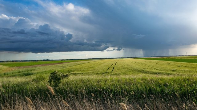 Снимка: Pixabay