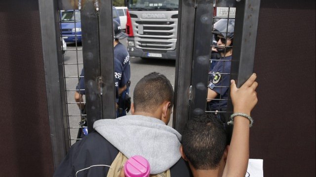 <p>
	Мигранти на границата на Сърбия с Унгария. <em>Снимка: Ройтерс</em></p>
