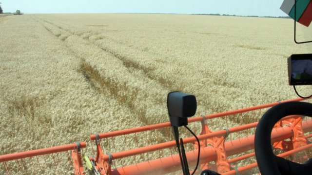 <p>
	<em>Снимка: БТА</em></p>
