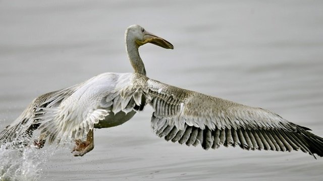 <p>
	<em>Снимка: Архив Ройтерс</em></p>
