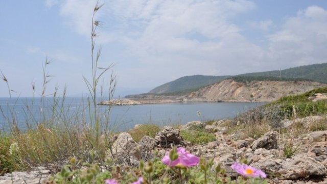 <p>
	Бъдещата площадка на АЕЦ &quot;Аккую&quot;. <em>Снимка: АЕЦ Аккую</em></p>
