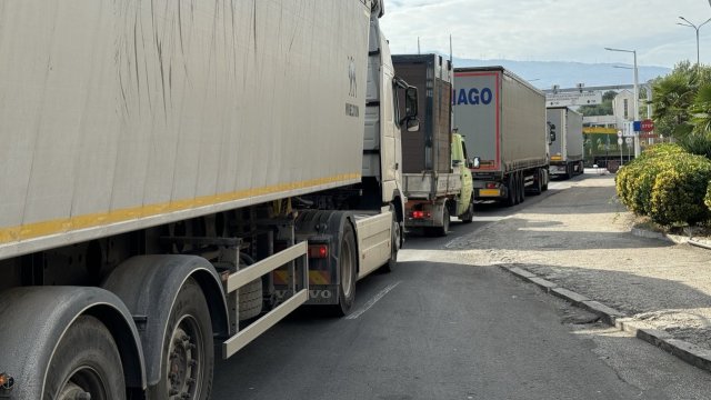 Снимка: БГНЕС