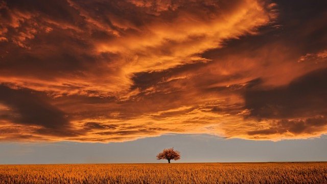 <p>
	<em>Снимка: Pixabay</em></p>
