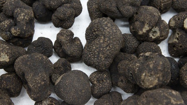 <p>
	<em>Снимка: архив Ройтерс</em></p>
