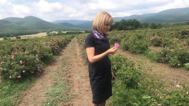 <p>
	<em>Снимка: Пресофис на омбудсмана</em></p>
