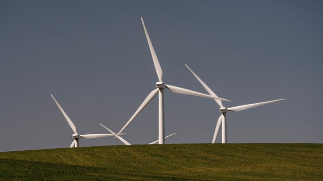 Снимка: Bloomberg LP