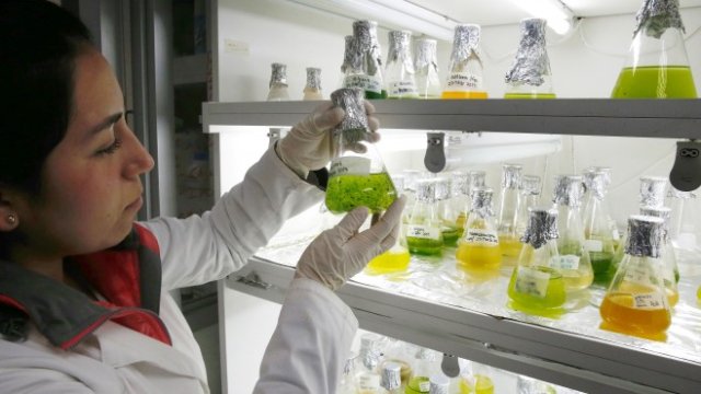 <p>
	<em>Снимка: Ройтерс</em></p>
