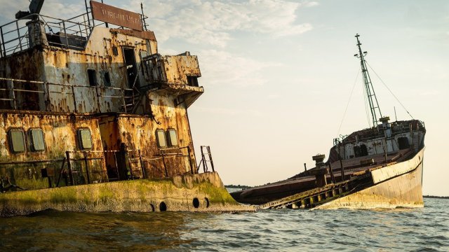 Снимка: Pixabay