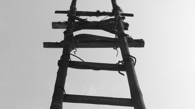 Снимка: pexels.com