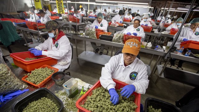 Снимка: Bloomberg