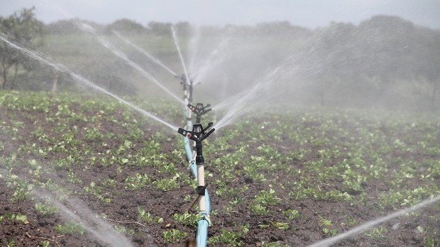 <p>
	<em>Снимка: Pixabay</em></p>
