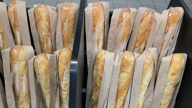 <p>
	<em>Снимка: БГНЕС</em></p>
