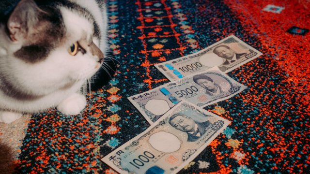 Снимка: Bloomberg L.P.
