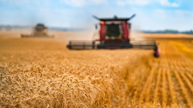 <p>
	<em>Снимка: Европейският парламент</em></p>
