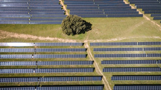 Снимка: Bloomberg L.P.