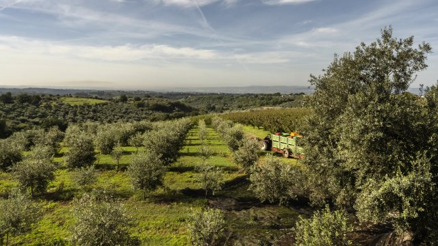 Снимка: Bloomberg LP