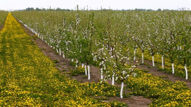 <p>
	<em>Снимка: Ройтерс</em></p>
