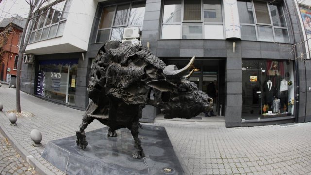 Снимка: Investor.bg