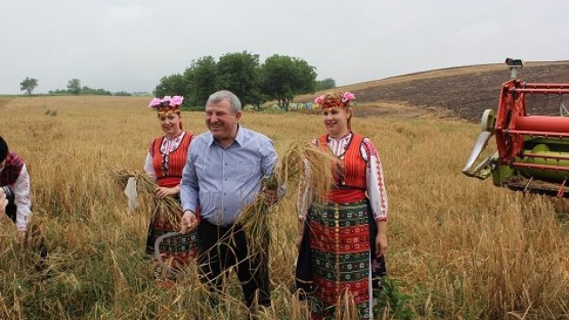 <p>
	С официална церемония земеделският министър Греков даде началото на жътвата. Снимка: <em>МЗХ</em></p>
