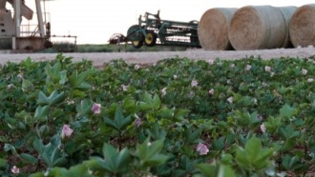 <p>
	<em>Снимка: Архив на Ройтерс</em></p>
