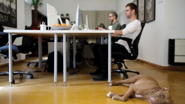 <p>
	<em>Снимка: Архив Ройтерс</em></p>
