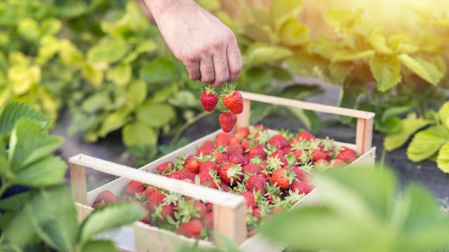 Снимка: freepik