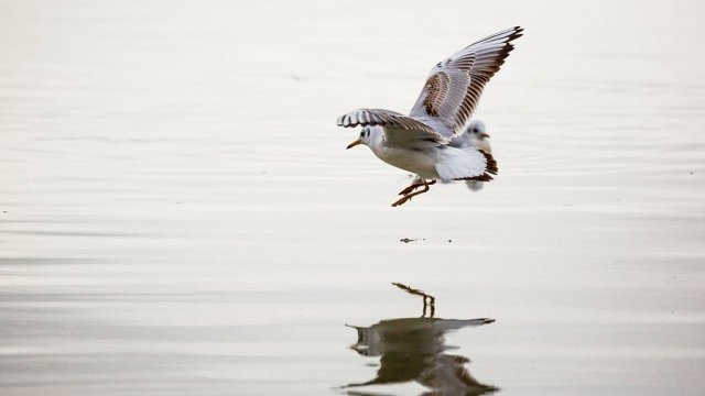 <p>
	<em>Снимка: Pixabay</em></p>
