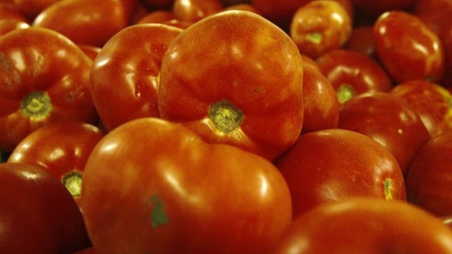 <p>
	Снимка: <em>Ройтерс</em></p>
