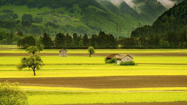 <p>
	Снимка: Pixabay</p>
