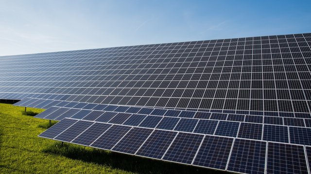 Снимка: Pixabay