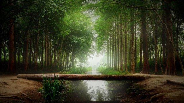 <p>
	<em>Снимка: Pixabay.com</em></p>
