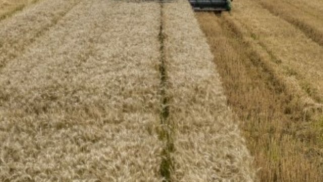 <p>
	<em>Снимка: Bloomberg LP</em></p>
