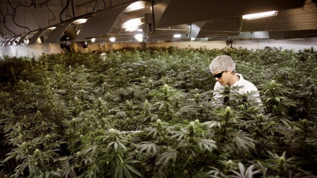 <p>
	<em>Снимка:Ройтерс</em></p>
