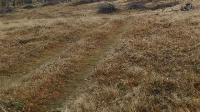 Елана Агрокредит АД е погасило 4 млн. лв. от кредита си към СЖ Експресбанк