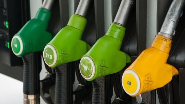 Снимка: Pixabay