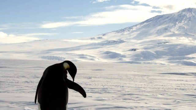 <p>
	<em>Снимка: Ройтерс</em></p>
