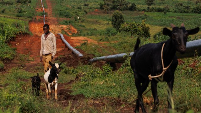 Снимка: Bloomberg L.P.