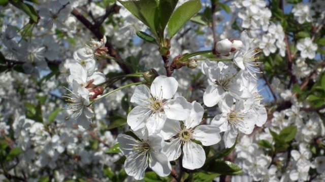 <p>
	<em>Снимка: Pixabay</em></p>
