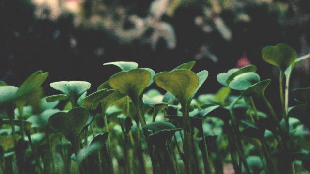 Снимка: Pexels