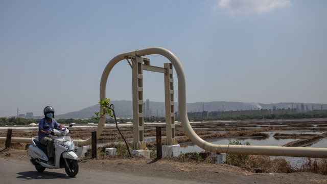 Снимка: Bloomberg L.P.