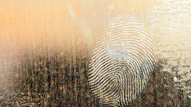 <p>
	<em>Снимка: Pixabay</em></p>
